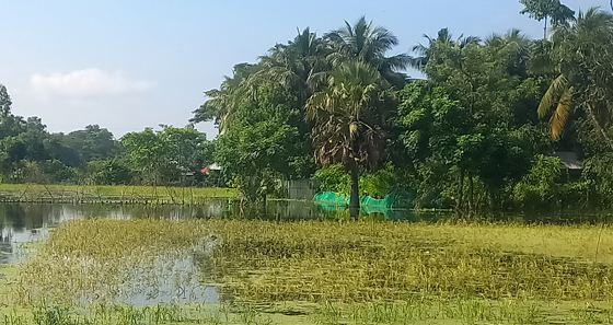 image-here
